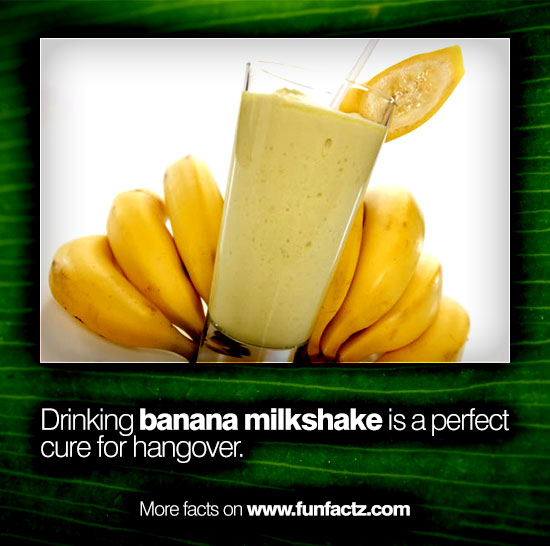 Drinking banana milkshake is a perfect cure for hangover.