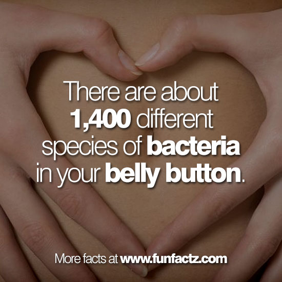 There are about 1,400 different species of bacteria in your belly button.