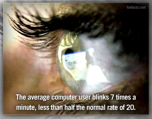 Computer Facts