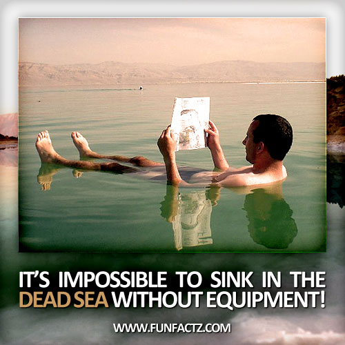It's impossible to sink in the Dead Sea without equipment!