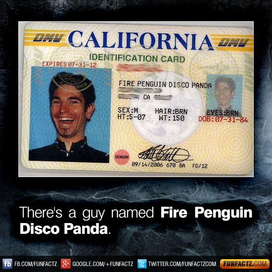 There's a guy named Fire Penguin Disco Panda.