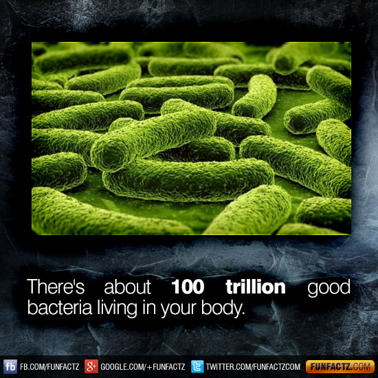There's 100 trillion good bacteria living in your body.
