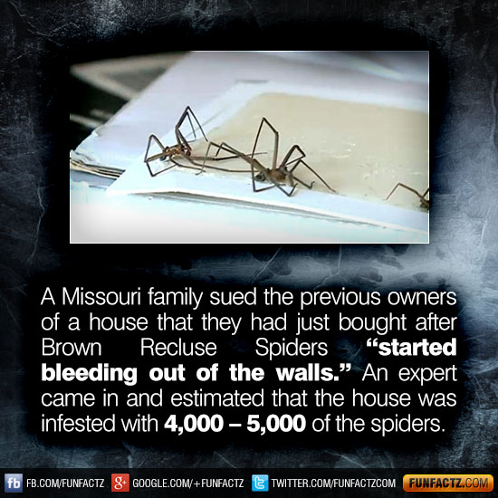A Missouri Family Sued The Previous Owners Of A House That They Had a-missouri-family-sued-the-previous-owners-of-a-house-that-they-had