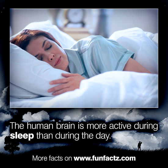The human brain is more active during sleep than during the day.