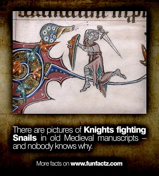 There are pictures of Knights fighting Snails in old Medieval