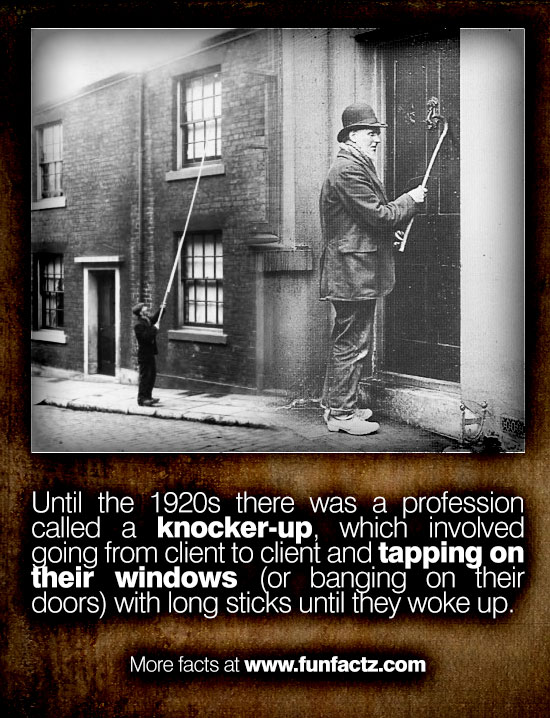 Could 'knockerup' be the job for you?