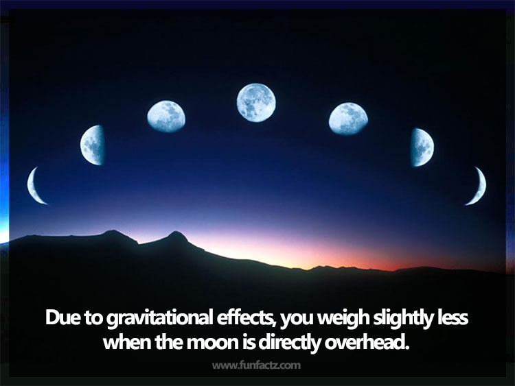 Moon Weight