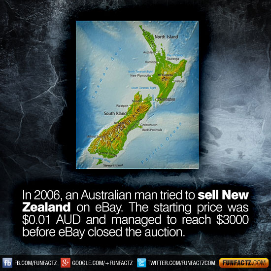 In 2006, an Australian man tried to sell New Zealand on eBay. The