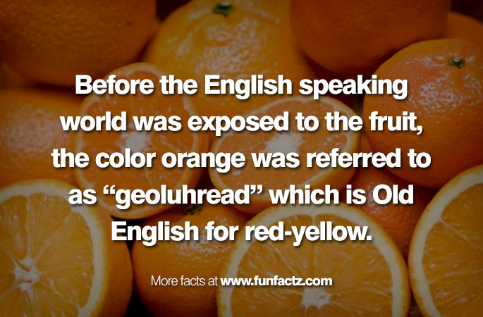 different words for orange colour