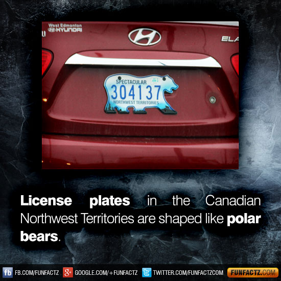 License plates in the Canadian Northwest Territories are shaped like polar bears.