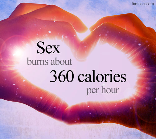 Sex Burns About 360 Calories Per Hour 