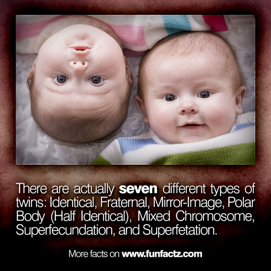 different types of twins Top 10 different types of twins article by parulkhani, june 20, 2014 the world is full of all the miracles and extraordinary things,and these extraordinary miracles is what makes the world complete. different types of twins Top 10 different types of twins article by parulkhani, june 20, 2014 the world is full of all the miracles and extraordinary things,and these extraordinary miracles is what makes the world complete.