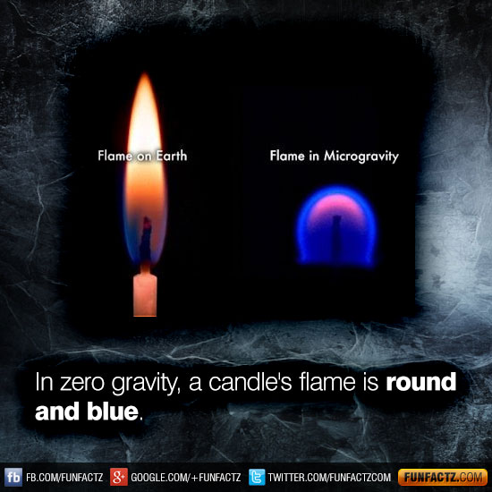 In zero gravity, a candle's flame is round and blue.