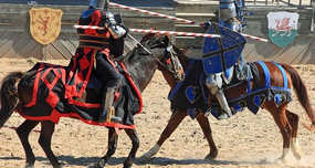 Maryland's State Sport