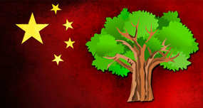 China Afforrestation