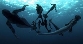 Mermaid Mockumentary