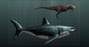 Megalodon: Biggest Shark That Ever Existed