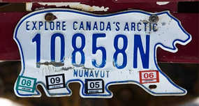 Canadian Polar Bear License Plates