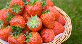 The Mystery of Origin of the Word 'Strawberry'