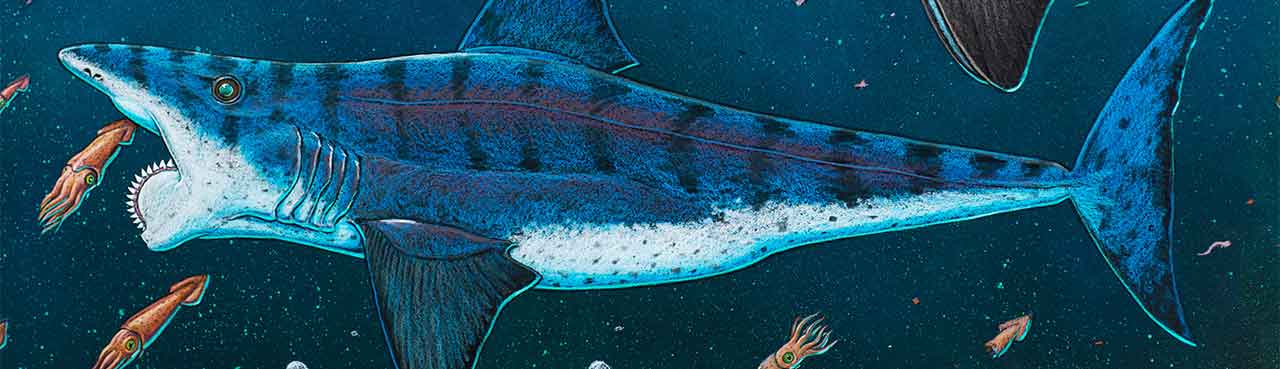 Helicoprion: Ancient 7.5m Long Shark Relative with Chainsaw-like Teeth